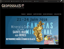 Tablet Screenshot of geofossiles.com